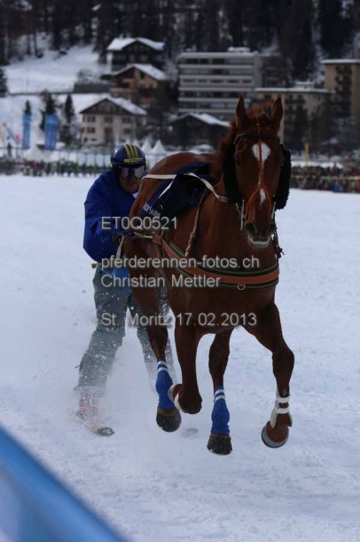 ET0Q0521 prot